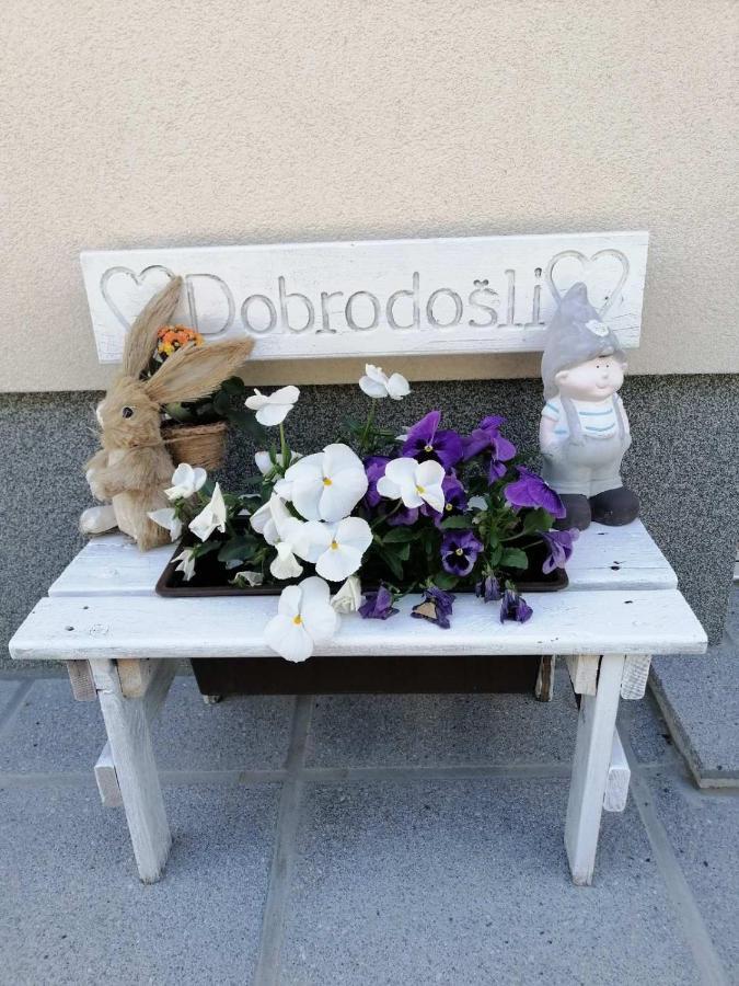 Appartamento Sobe Pri Rozi Postumia Esterno foto