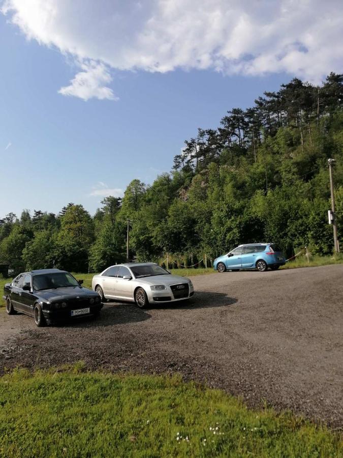 Appartamento Sobe Pri Rozi Postumia Esterno foto